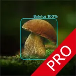 Mushrooms - AI Identifier PRO icon