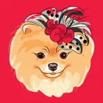 Baby Pomeranian Stickers icon