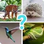 Animals quiz guess mammals zoo icon