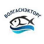 ВолгаСнэкТорг icon