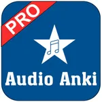 Audio Anki icon