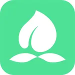 桃桃到家 icon