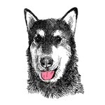 Jagger's Doggie Daycare icon