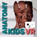 VR Human Anatomy Kids icon