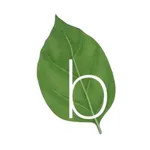 Basilico icon