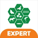 Baigali Expert icon