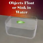 Objects Float or Sink in Water icon