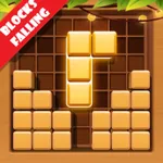Puzzle Games: Falling Blocks icon