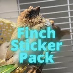 Finch Stickers icon