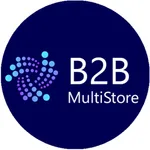 B2B MultiStore icon