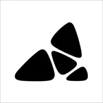 Picostone Pro icon