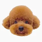 Poodle Dog's Head icon