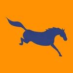 Horseplay.app icon