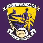 Wexford GAA icon