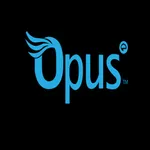 Opus Runner icon