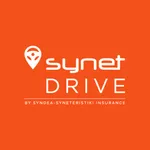 Synet Drive icon