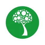 Химчистка Green City icon