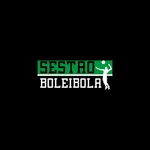 Sestao Boleibola icon