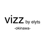 vizz by elyts icon