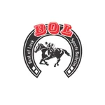 Bolrace icon
