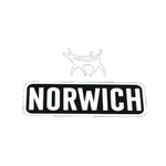 Norwich icon