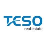 Teso Real Estate icon