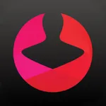 Styku icon