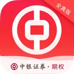 中银汇点仿真期权 icon