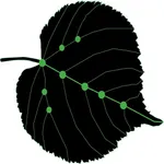 XPr Ensue icon