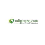 Tulip 2020 Ltd icon