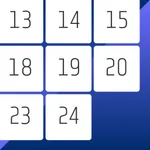 Twenty Five Puzzle icon