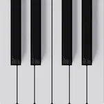 Mini Piano Pro icon