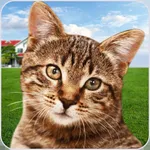 Cat Shelter Simulator: My Pet icon