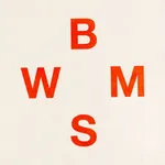 BMWS22 icon