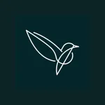Brainstork icon