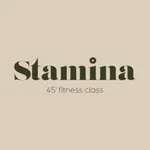 Stamina45 icon