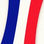 Impara il francese da zero icon
