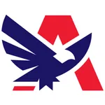 American Eagle Insurance Group icon