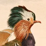 Art of Fauna: Cozy Puzzles icon