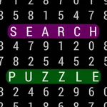 Search Puzzle icon