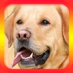 Dog Translator for Dogs icon