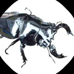 Beetle stag clash icon