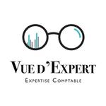 Vue d'Expert icon