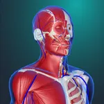 teamLabBody Pro Human anatomy icon