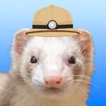 Ferret Explorer icon