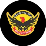 Grupo DL icon
