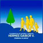 Hermes Gaibor V. icon