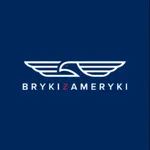 Bryki z Ameryki icon