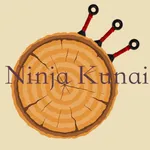 Ninja Kunai icon