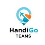 Handigo teams icon